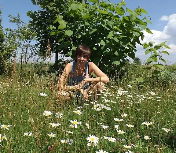 Lejlighed Lippert Pullenreuth